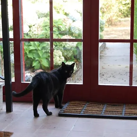 A Casa Do Buxo Vakantiehuis