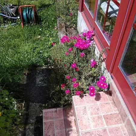 A Casa Do Buxo Vakantiehuis Casardeita