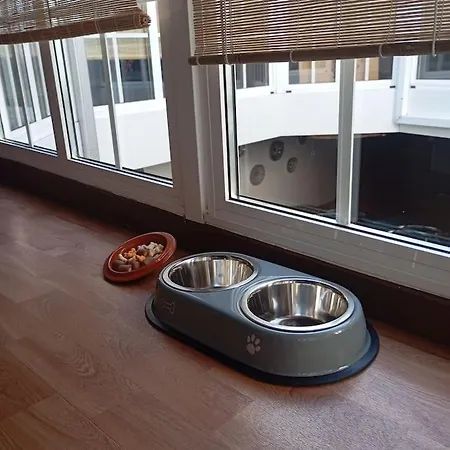 Vakantiehuis A Casa Do Buxo Casardeita