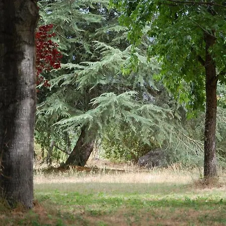 Vakantiehuis A Casa Do Buxo *