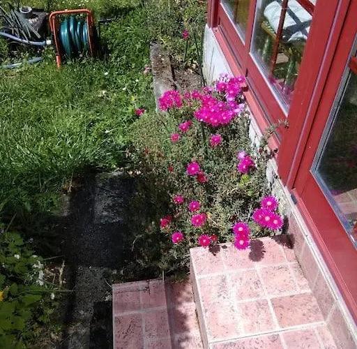 A Casa Do Buxo Semesterbostad Casardeita