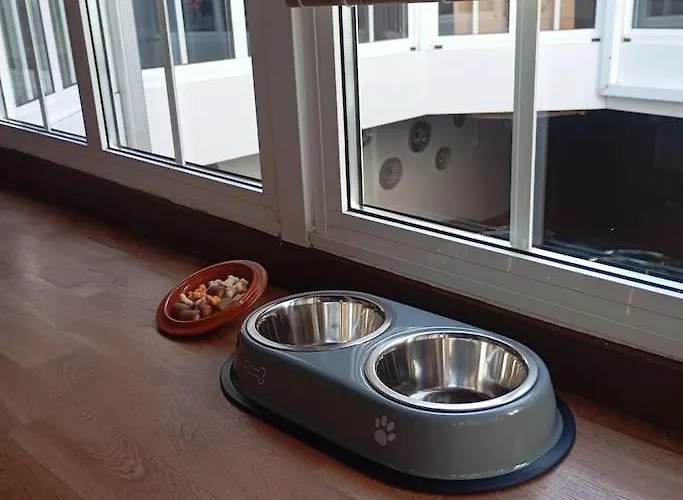 Semesterbostad A Casa Do Buxo Casardeita