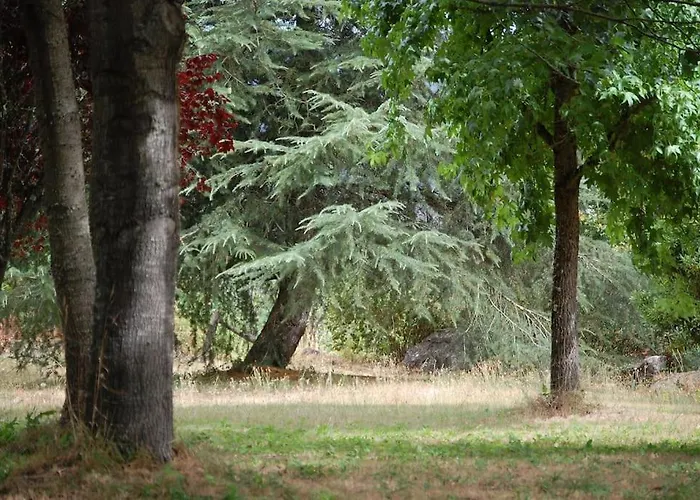 Semesterbostad A Casa Do Buxo *